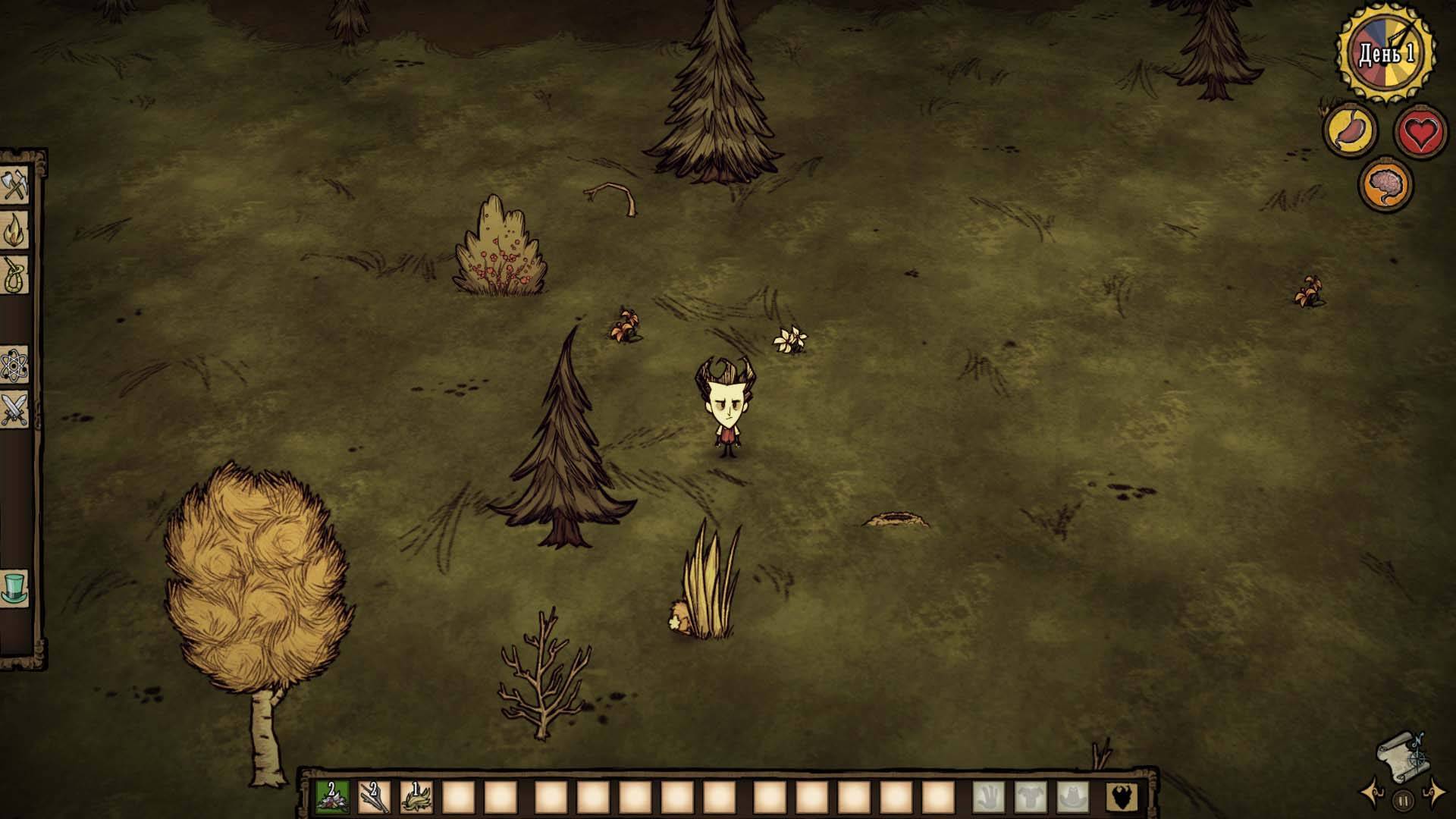 Don t starve. Don t Starve together. Don't Starve together лес. Игра Дон Стар тугезе.