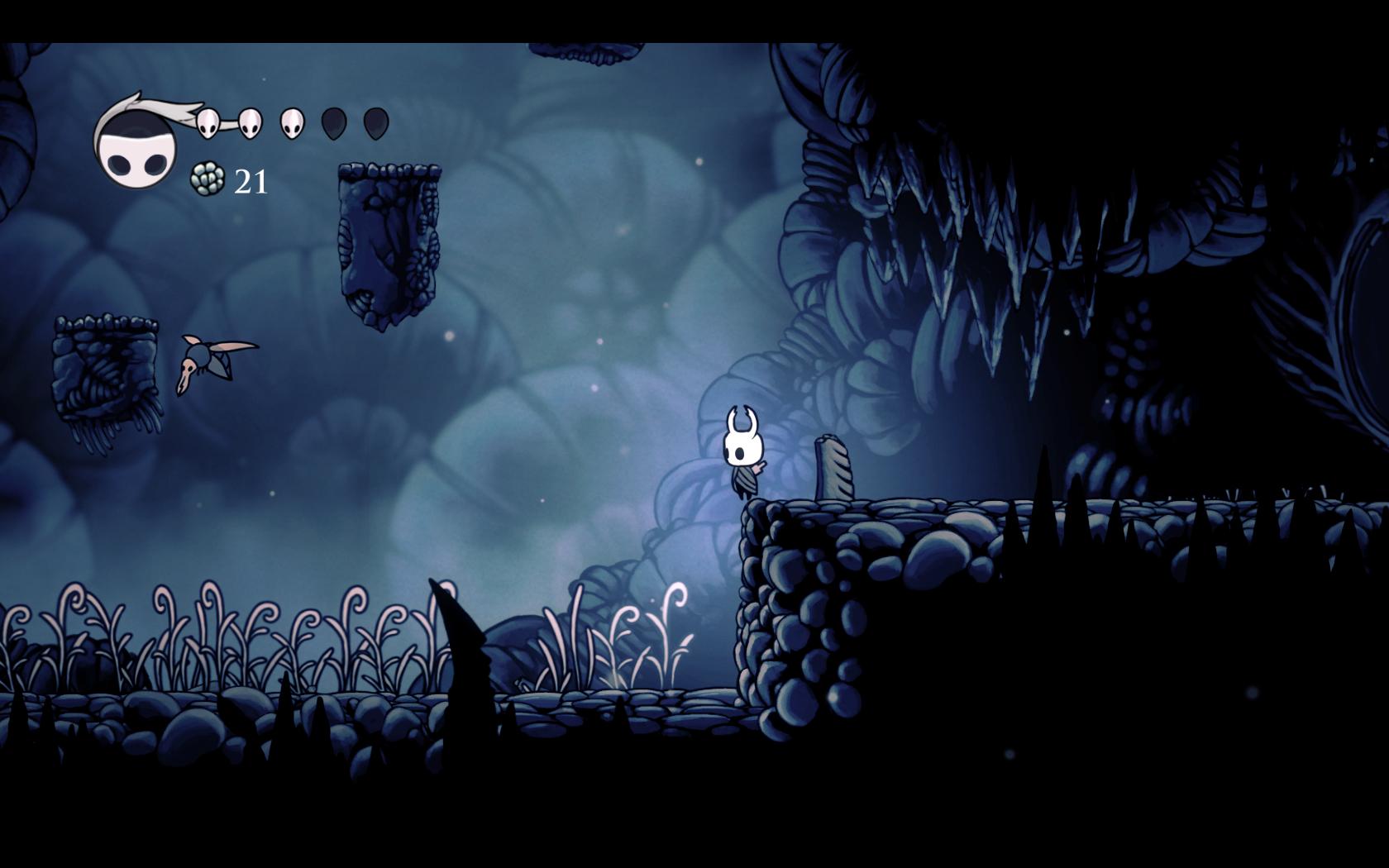 Hollow knight 5 knights