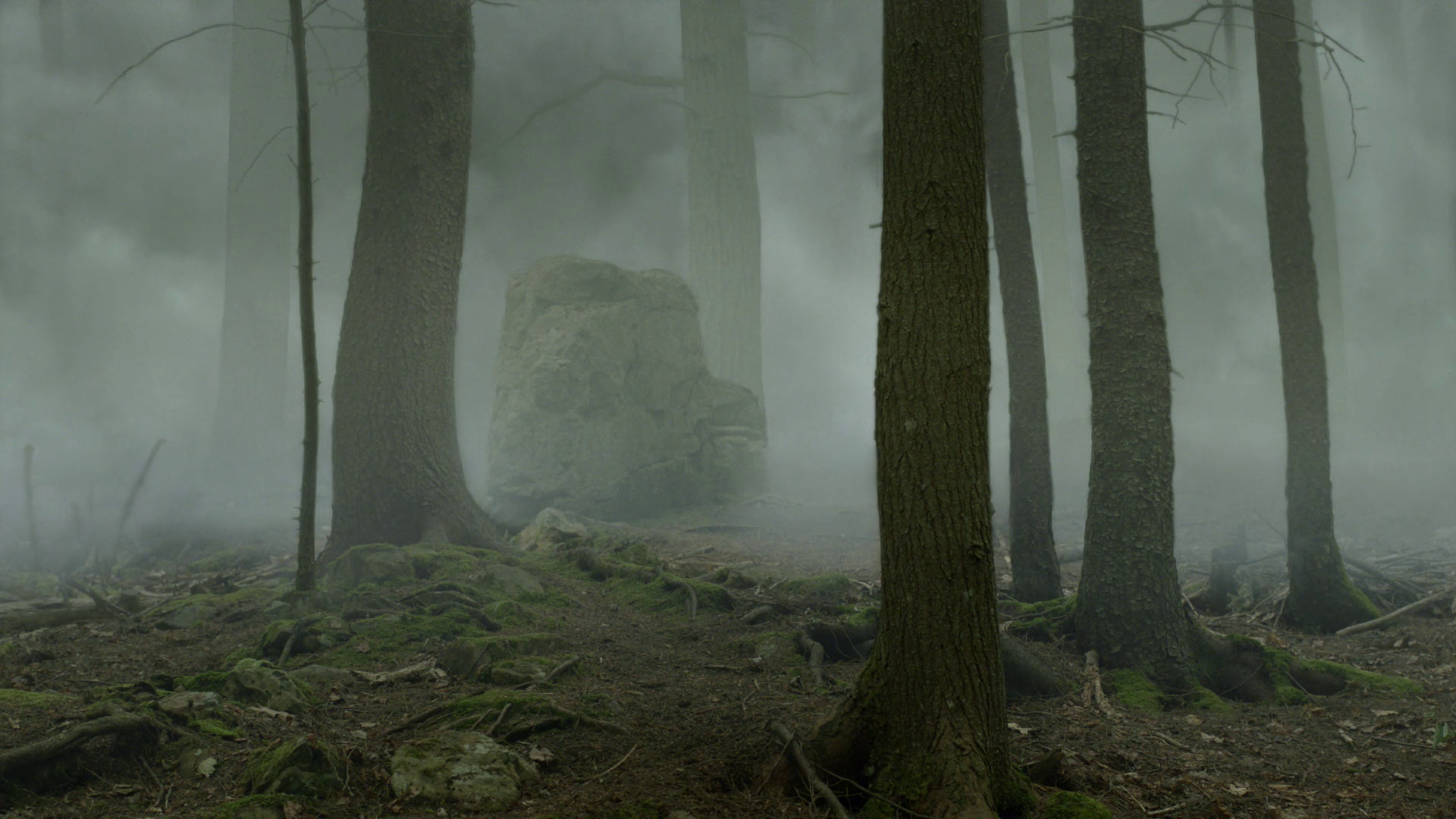 Мгла (the Mist), 2007